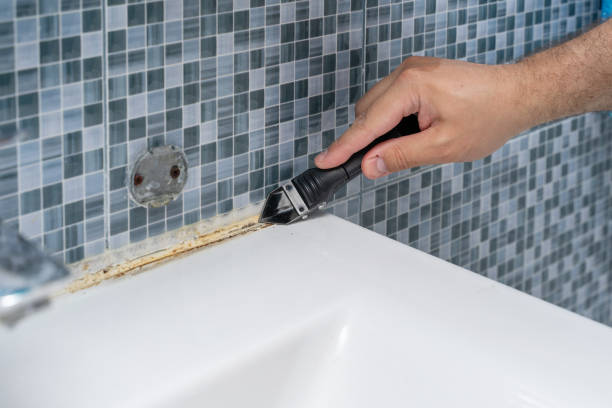 Best Health and Safety Mold Remediation in Seminole, TX