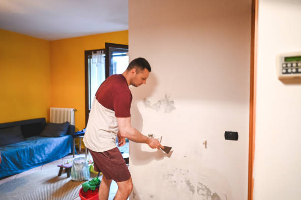Best Crawl Space Mold Remediation in Seminole, TX