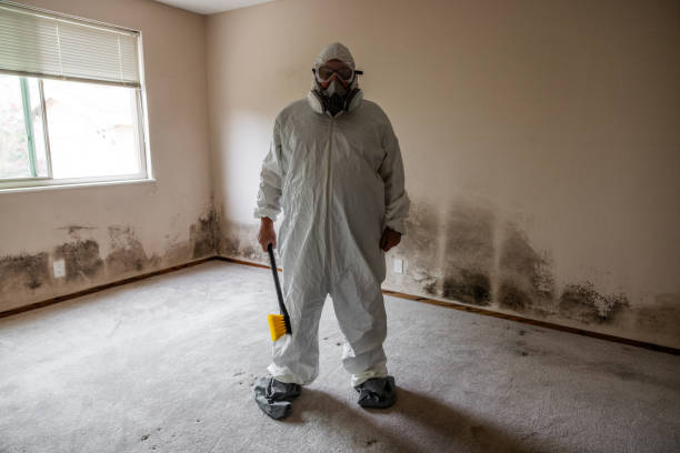 Best Mold Testing and Inspection Services in Seminole, TX